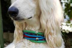 Hundehalsband-6-cm-breit-Zugstopp-Afghane-David