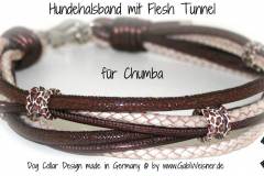 Hundehalsband-mit-Flesh-Tunnel-Chumba