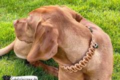 Hundehalsband-verstellbar-Leder-Mandel-Bonnie