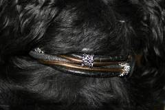 Hundehalsband-Ledermix-Diego