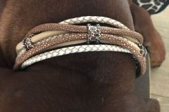 RHODESIAN-Ridgeback-Halsband-Simba-5