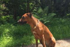 Tabea-2