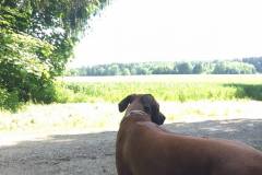 Tabea-3