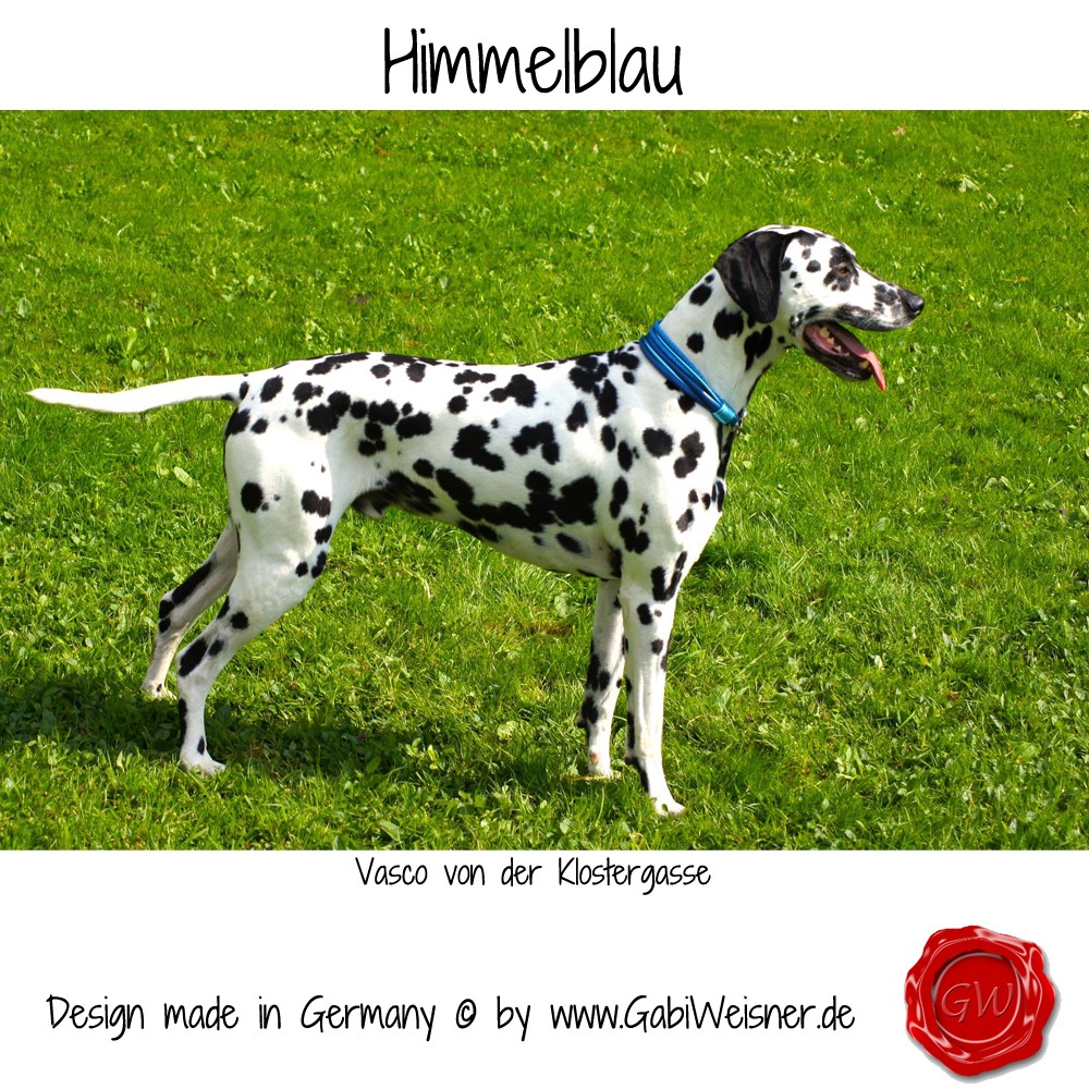 Himmelblau-Vasco