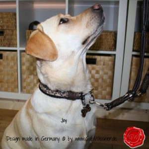 Hundehalsband-Lederhalsband-Joy-2