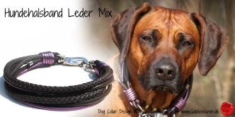 Hundehalsband-Leder-Mix