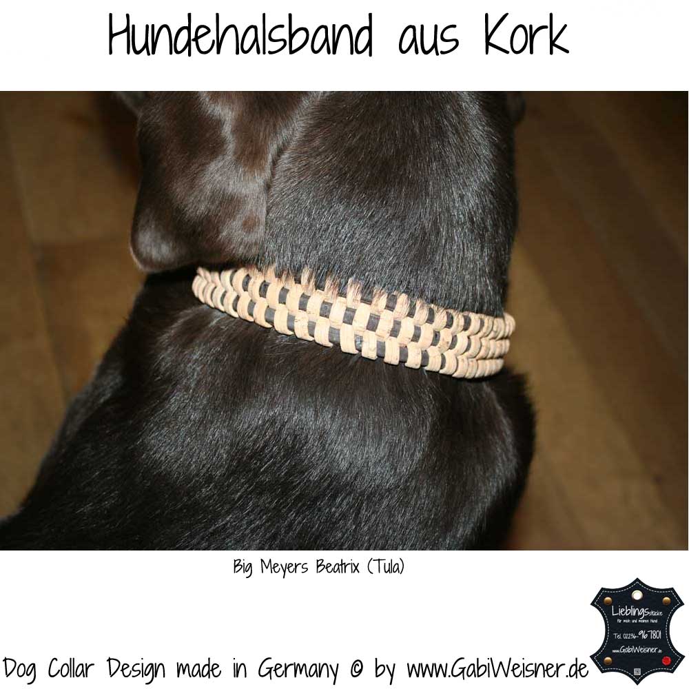 Hundehalsband aus Kork