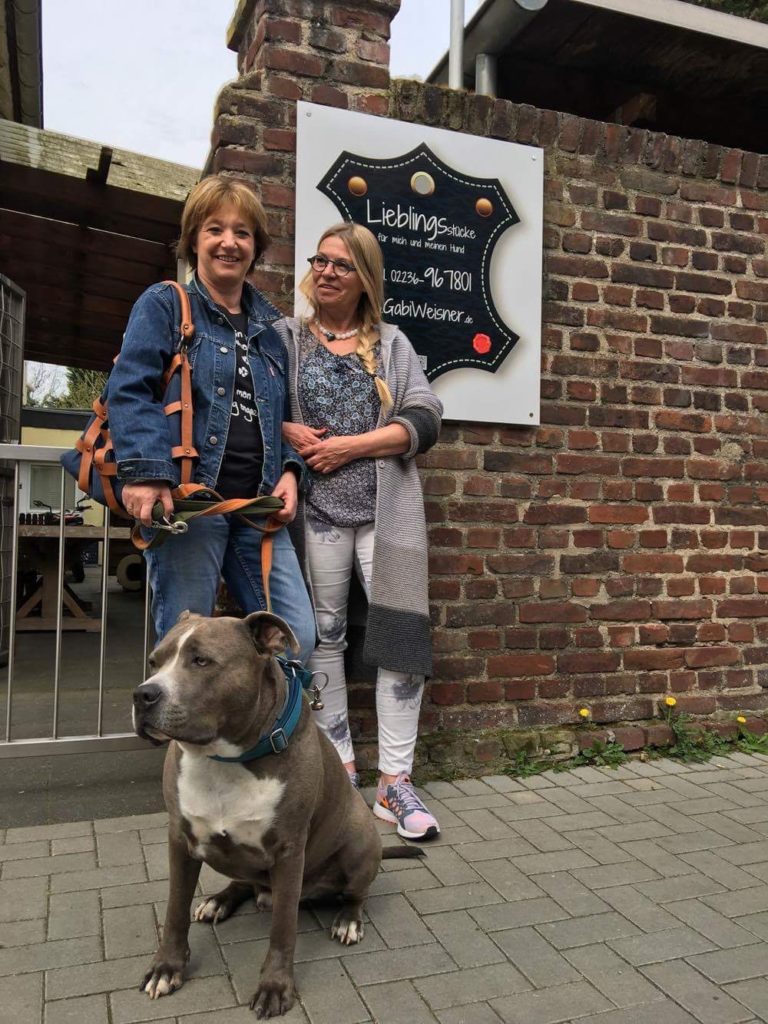 Pumba in Köln &quot;Luxus für Hunde&quot; DER BLOG