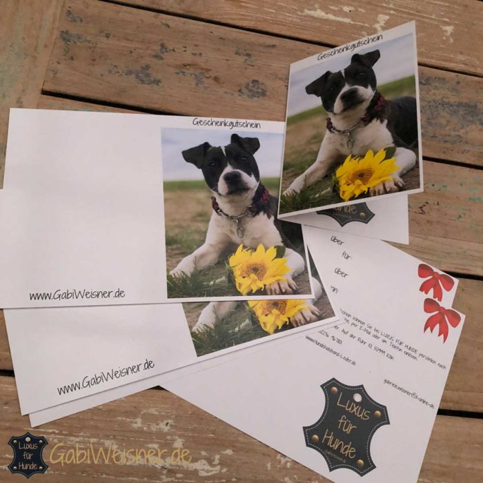 Geschenkgutschein kaufen