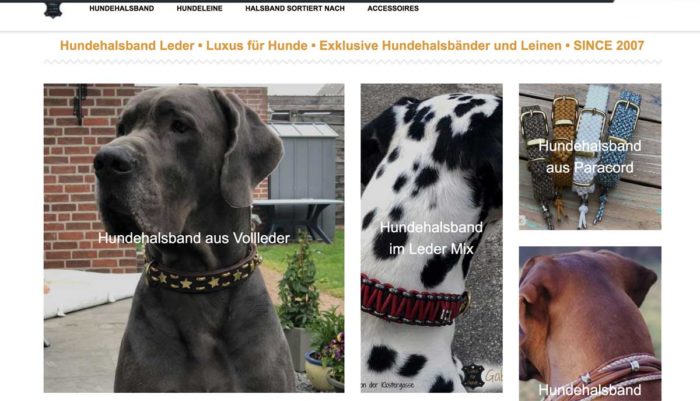 Hier gehts zum Shop