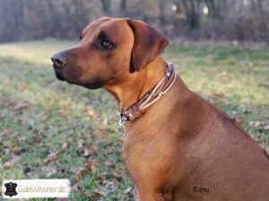 Luxus für Hunde Rhodesian Ridgeback, Labrador Retriever, Hundemode, made in Köln bei Gabi Weisner