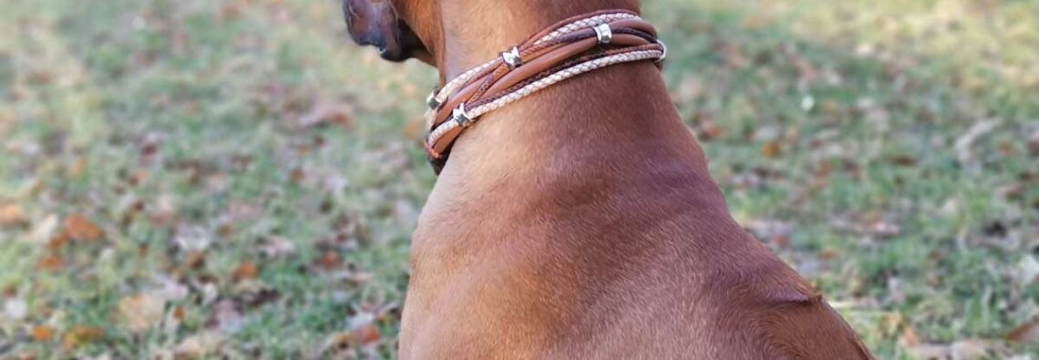 Luxus für Hunde Rhodesian Ridgeback, Labrador Retriever, Hundemode, made in Köln bei Gabi Weisner