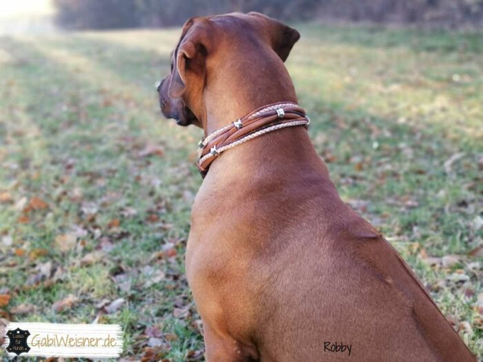 Luxus für Hunde Rhodesian Ridgeback, Labrador Retriever, Hundemode, made in Köln bei Gabi Weisner