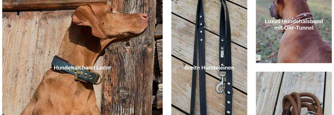 hundehalsband-leder shop